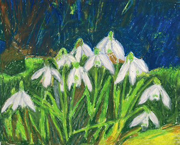 Snowdrops, 23 x 19 cm